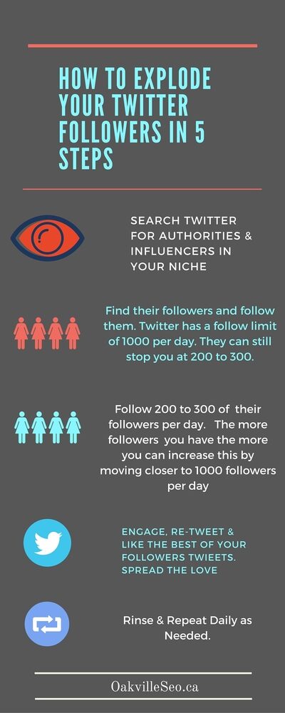 rsz_twitterfollowersinfographic-2159857